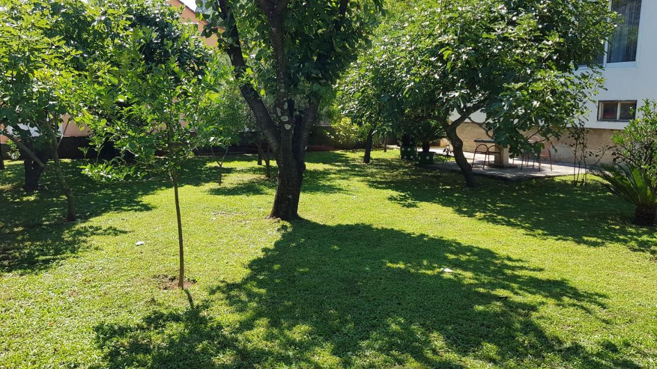 Apartment Angel Kotor Ngoại thất bức ảnh