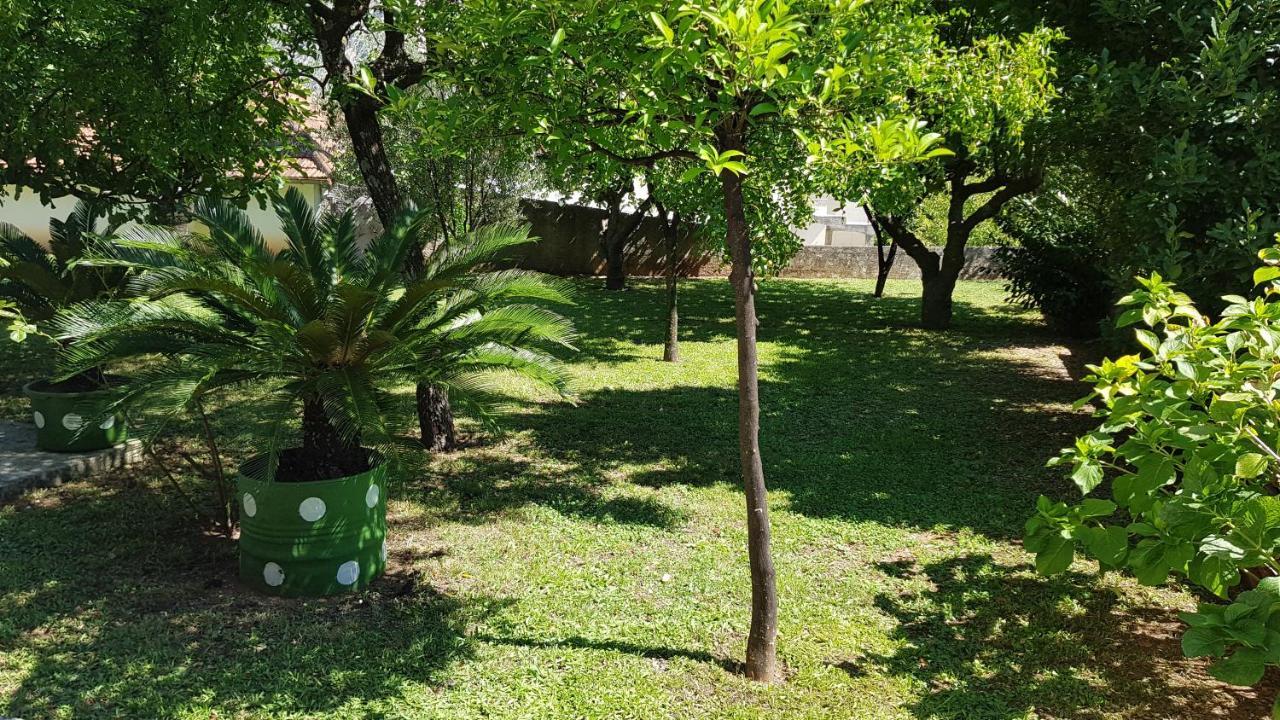 Apartment Angel Kotor Ngoại thất bức ảnh