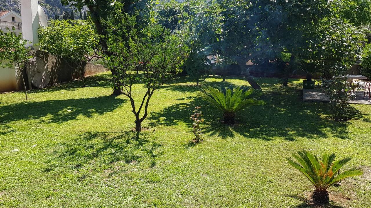 Apartment Angel Kotor Ngoại thất bức ảnh
